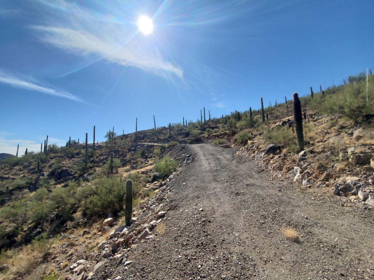 Custom Hillside lot located the west side of Tucson in the highly