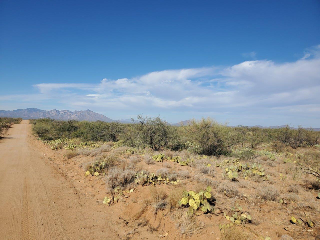 Enjoy this rural desert setting in Diamond Bell Ranch