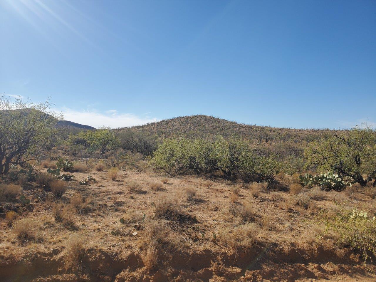 Enjoy this rural desert setting in Diamond Bell Ranch