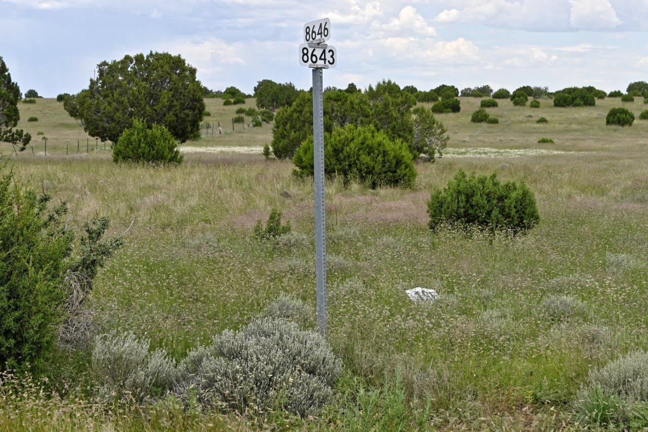 Escape the city life at this great 7.4 acre parcel south of Concho, AZ