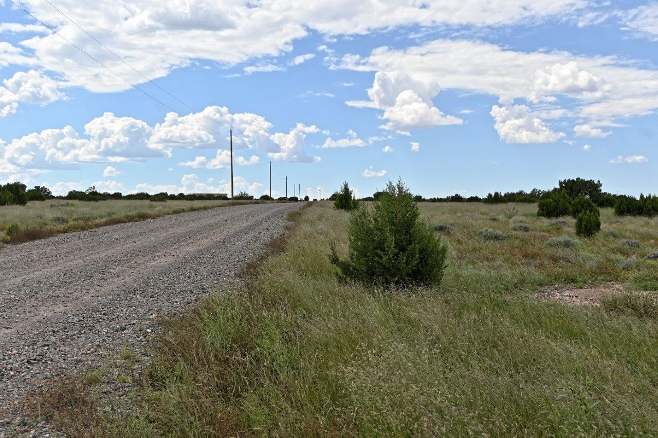 Escape the city life at this great 7.4 acre parcel south of Concho, AZ