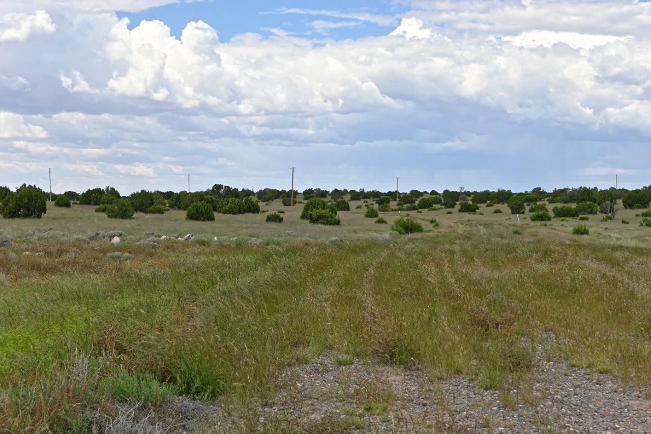 Escape the city life at this great 7.4 acre parcel south of Concho, AZ