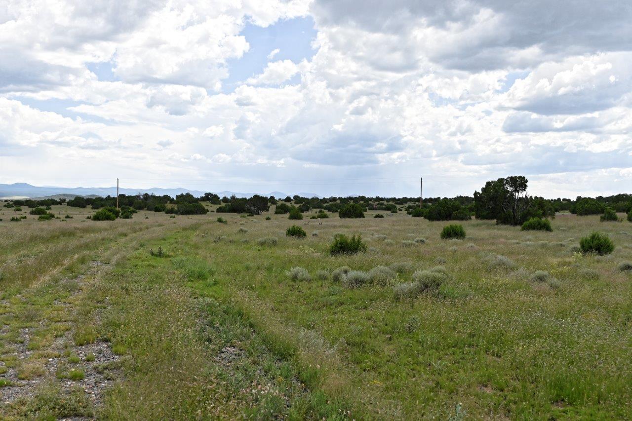 Escape the city life at this great 7.4 acre parcel south of Concho, AZ
