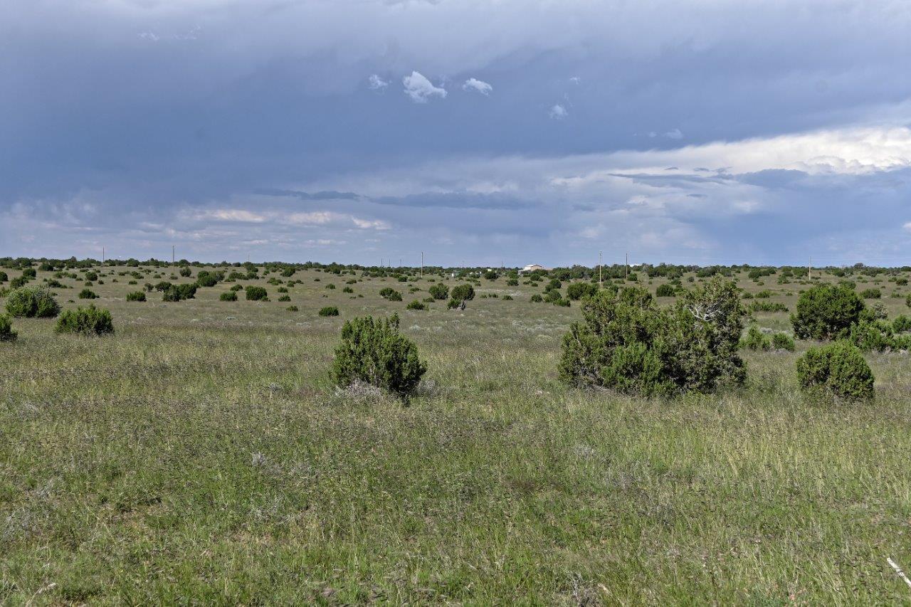 Escape the city life at this great 7.4 acre parcel south of Concho, AZ