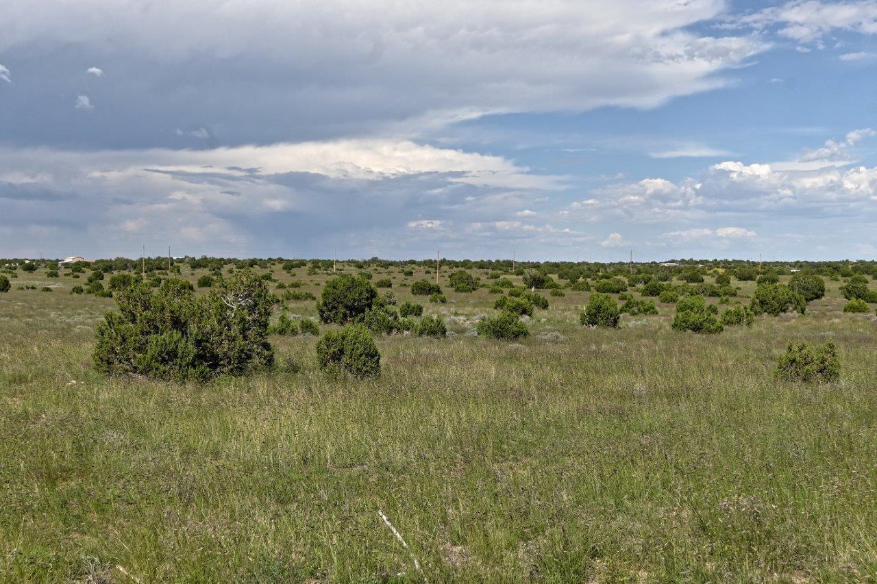 Escape the city life at this great 7.4 acre parcel south of Concho, AZ