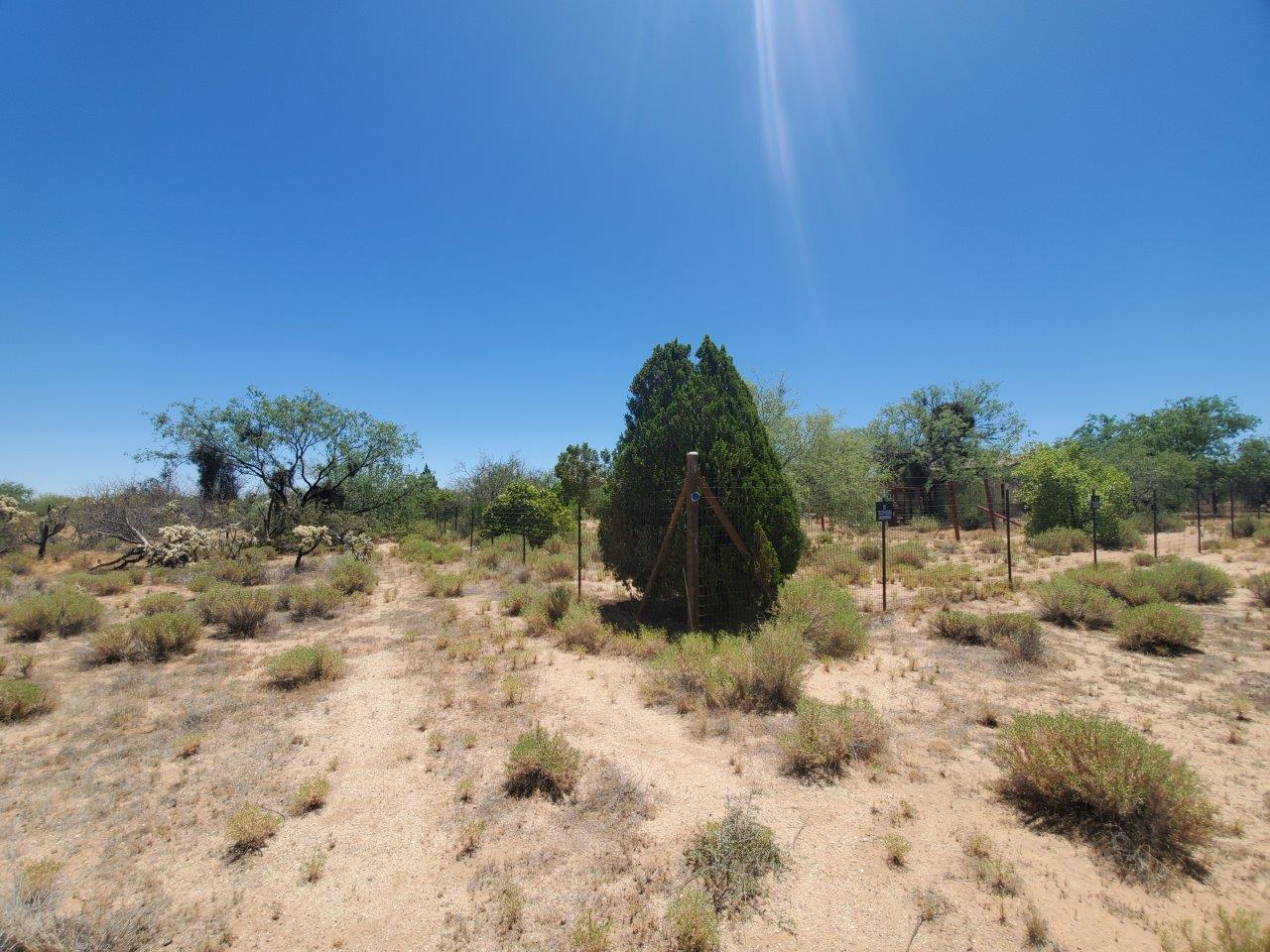 1.10 acre Horse Property with electric and water in Diamond Bell Ranch